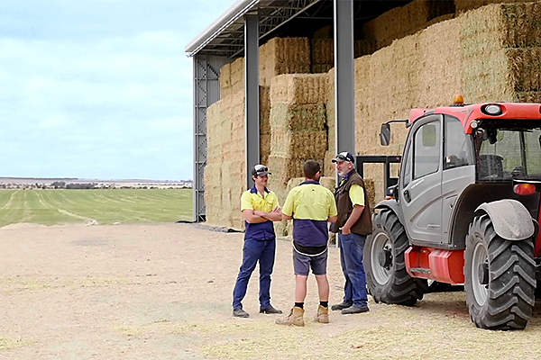 Managing the Business Haystack