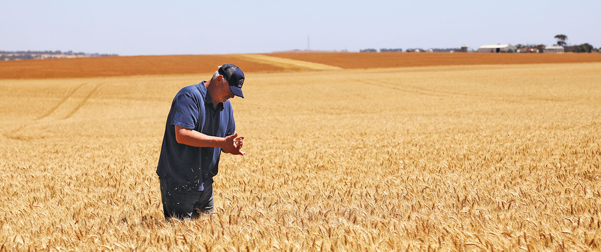 Regional Skills Training - RST - training for rural and regional Australia